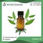 Camphor oil natural for useful in rheumatic pain bronchitis and influenza